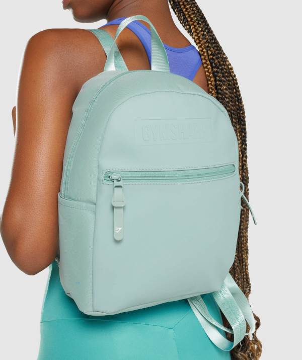 Panske Batohy Gymshark Everyday Mini Svetlo Modre | GH9205648